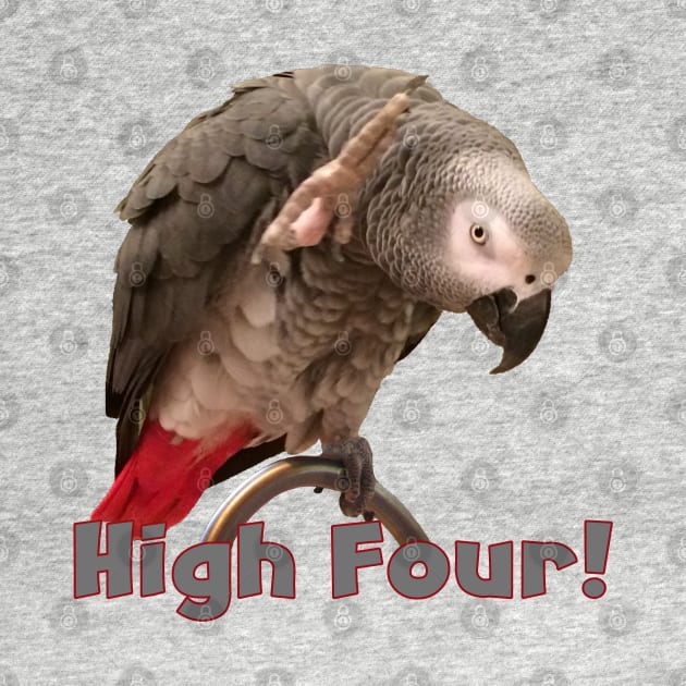 African Grey Parrot Waving High Four by Einstein Parrot